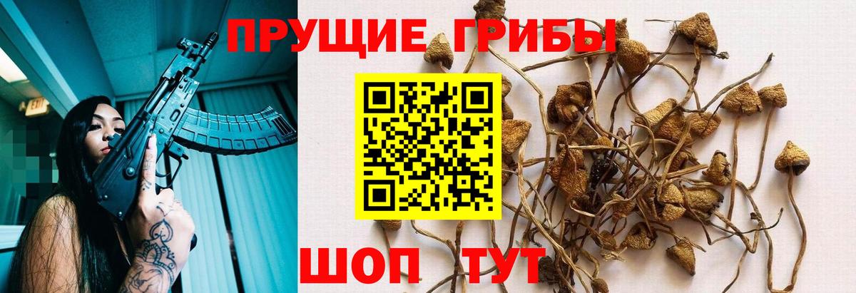 Псилоцибиновые грибы MAGIC MUSHROOMS Луховицы